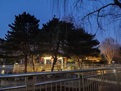 -黄村公园