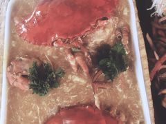 -茉莉.Red Crab