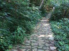 -北京西山国家森林公园