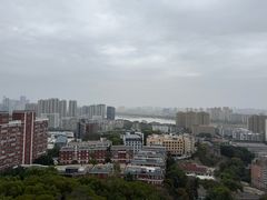 -福道