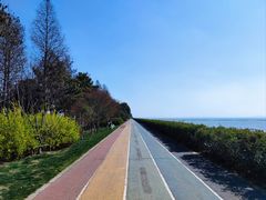 -贡湖湾湿地公园