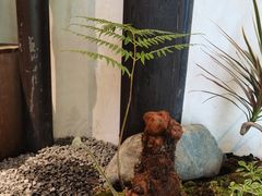 -Metal hands·铁手咖啡