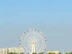 -金沙湖旅游度假区