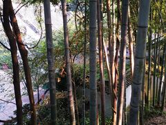 -杭州黄龙洞
