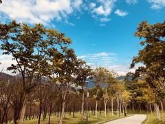 -牛岗山公园