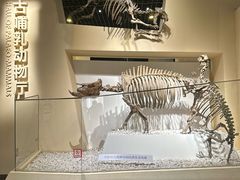 -国家自然博物馆