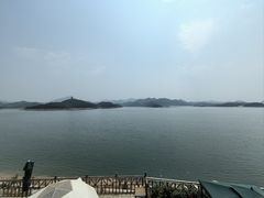 -望湖烤鱼