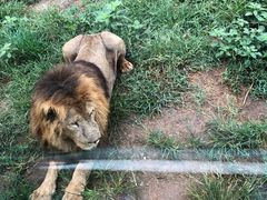 -西安秦岭野生动物园