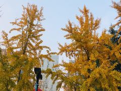 -城市运动公园(未央区)