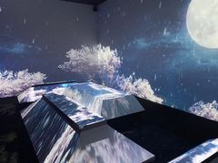 -火影忍者动画多媒体展