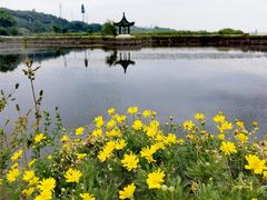 -西山风景区
