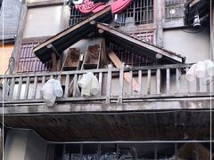 -哥老官重庆美蛙鱼头(西湖银泰十一哥店)