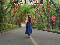 -大屏嶂森林公园