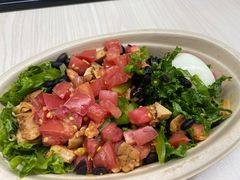 -油梨树AVOCADO TREE(望京店)