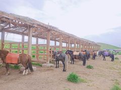 -山丹皇家马场