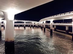 -演武大桥观景平台