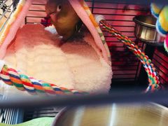 -雨林宠物医院 非犬猫异宠专科