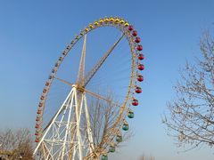 -辛玛王国游乐园