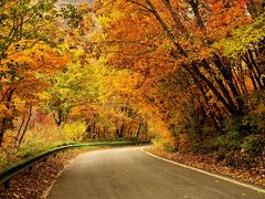 -三块石国家森林公园