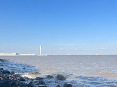 -上海吴淞炮台湾国家湿地公园