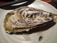 -千岛蚝高压锅生蚝·人参火锅(白云万达店)