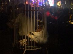 -胡桃里音乐酒馆(环亚凯瑟琳广场店)