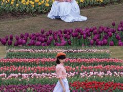 -杭州湾海上花田景区
