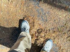 -山王坪喀斯特国家生态公园