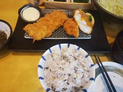 -胜博殿日式炸猪排(西红门店)