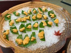 -月龍吟(朝龙汇店)