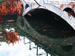 -厦门园林博览苑