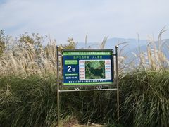 -西昌邛海湿地