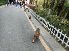 -黔灵山公园-南门售票处