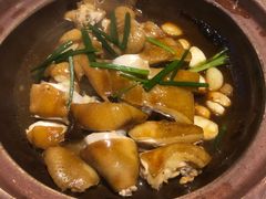 首创五指毛桃瓦撑豉油鸡-老莞家私房菜-超级鱼头佛跳墙