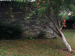 -中国美术学院象山校区-民艺博物馆