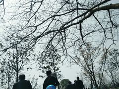-南通鲜花小镇