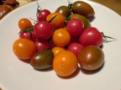 小番茄-鸽子窝(万丰路店)