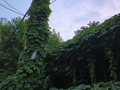 -黑石礁公园