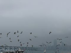 -星海广场