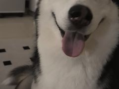 -FAELING PETS美天灵宠物(富力广场店)