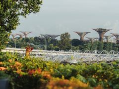 -新加坡文华东方酒店