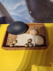 -酷嗒动物文化乐园(cutezoo西溪乐天城店)