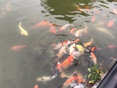 -珠海圆明新园