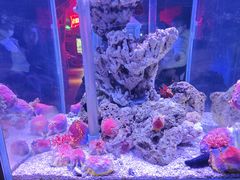 -太平洋海底世界