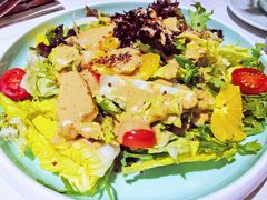 油醋大拌菜-百饺园(平山道店)