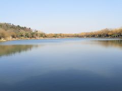 -羊山湖公园