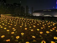 -南京眼步行桥
