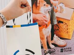 -Seesaw Coffee(上海国金中心店)