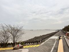 -上海滨江森林公园