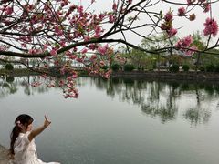 -无锡蠡湖国家湿地公园-蠡园